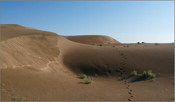 Фёдор Конюхов и члены РГО намерены пересечь пустыню Гоби на мотовездеходах