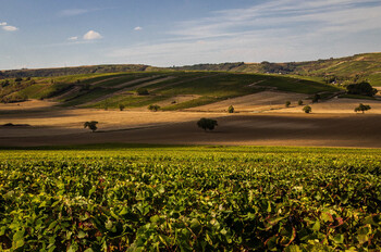 Минувшее лето стало самым жарким в истории Европы