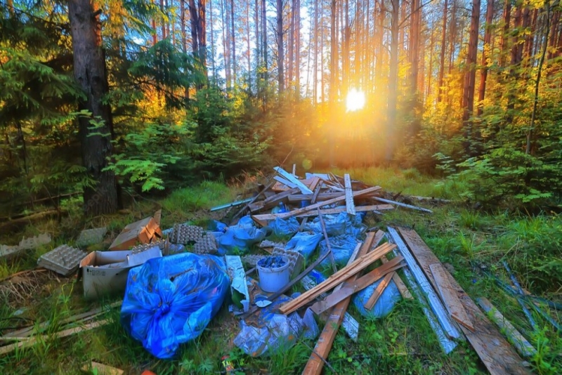 На ликвидацию городской свалки в Тольятти выделили полмиллиарда