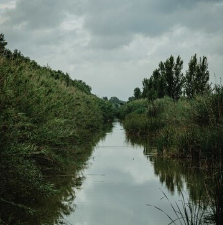 На проект по расчистке Песчанки во Владивостоке выделят 3,6 млн