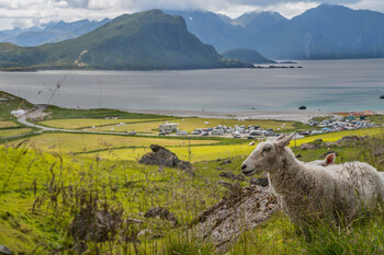 Норвегия может закрыть границы для российских туристов