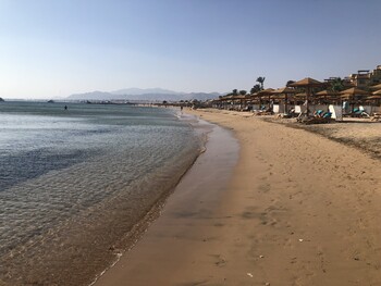 Перевозка в Египет в зимнем сезоне будет увеличена