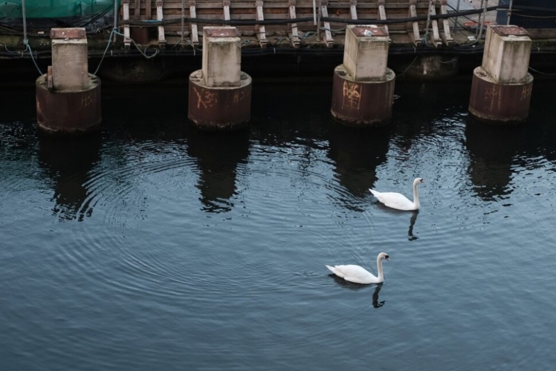Полувековую плотину будут ремонтировать в Рузаевке