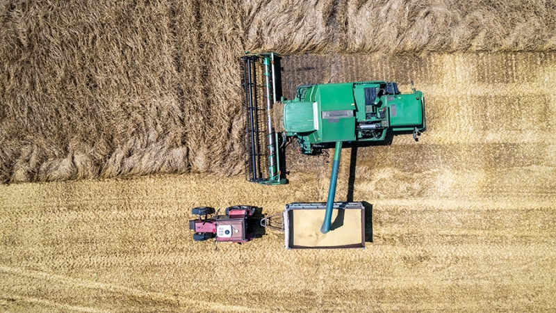 Путин фразой «хлеб — всему голова» указал на важность урожая в России