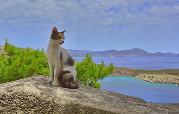 Турция, Греция и Египет приглашают на зимовку европейских пенсионеров