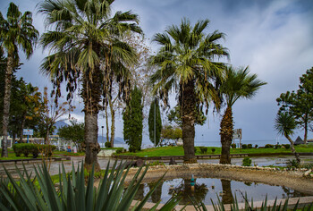 Турист из Эстонии убил жену в турецком отеле