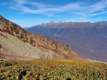 В горах Сочи ищут заблудившегося туриста 