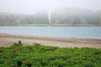 На Курилах произошло сильное землетрясение 
