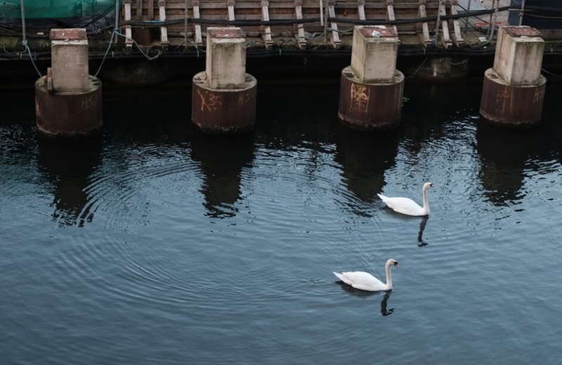 На реке Татарка будут ремонтировать аварийную плотину