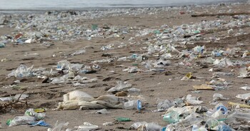 Туристам предложили тур по мусорным полигонам в VR-очках