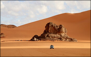 Алжир и Сомали отменили все ковидные ограничения при въезде