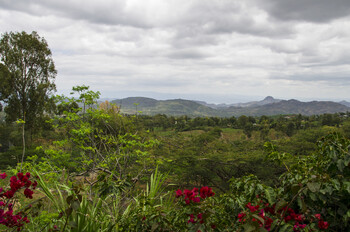 Эфиопия отменила все ковидные ограничения