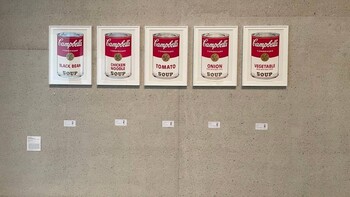 Экоактивисты напали на работы Энди Уорхола в галерее Канберры