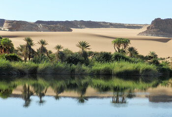 МИД: гражданам РФ следует отказаться от поездок в Чад