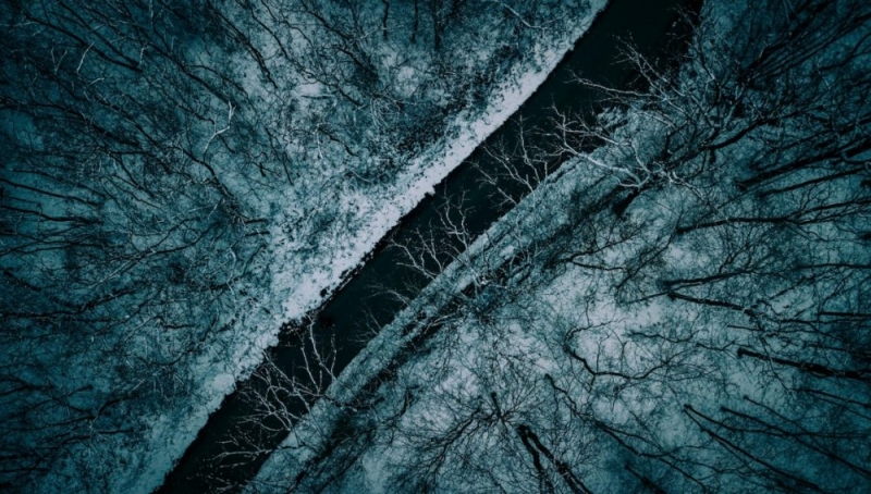 Плотину в Пушкино восстановят за 70 млн