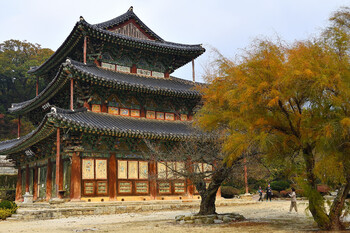 По итогам года Южная Корея ожидает 55 000 туристов из РФ 