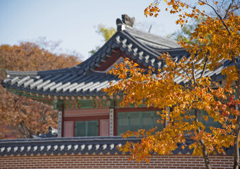 Погибшие в Сеуле россиянки были жительницами трёх регионов РФ