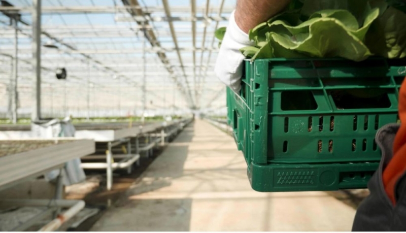 Склад для хранения овощей и фруктов построят В Балашихе