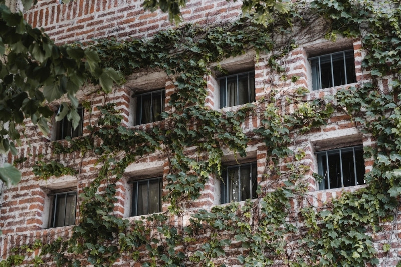 В Кировском районе на расселение ветхих домов выделят 139,8 млн