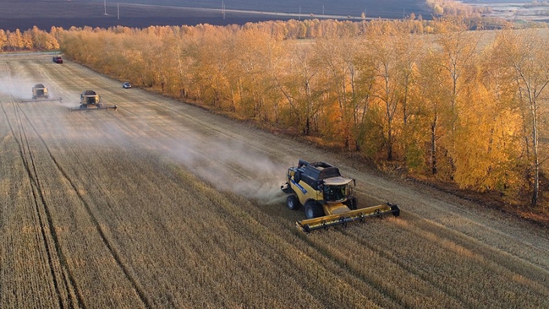 В Минсельхозе спрогнозировали объем экспорта продукции АПК на $40 млрд