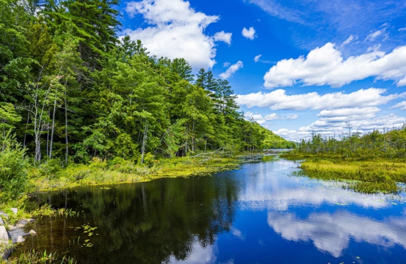В Волжском районе расчистят русло Чапаевки