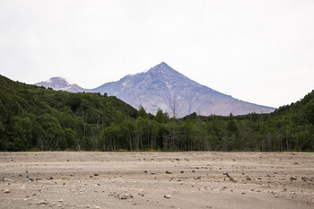Вулкан Шивелуч выбросил два столба пепла за сутки