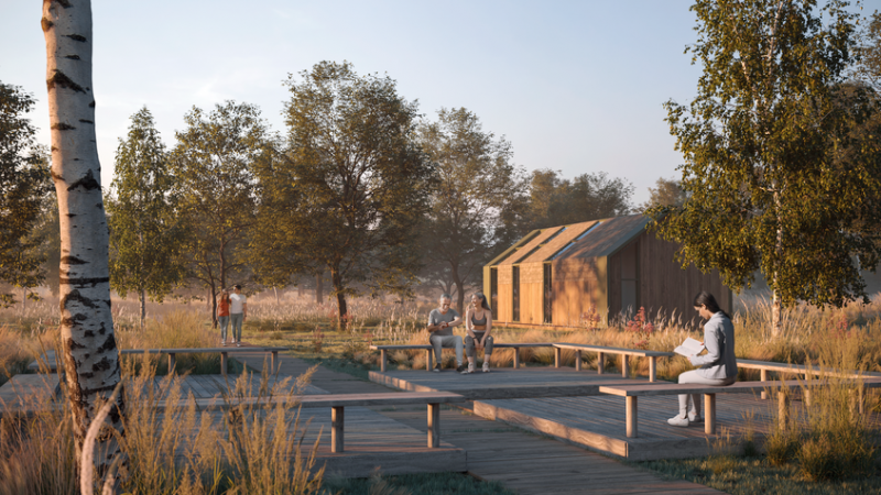 Каким станет Фрязинский лесопарк