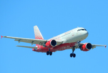 На рейсе из Петербурга в Калининград собака загрызла кошку