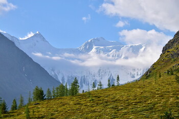 Небольшое землетрясение произошло на Алтае