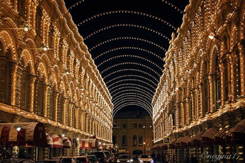 Проезд в транспорте Москвы в новогоднюю ночь будет бесплатным