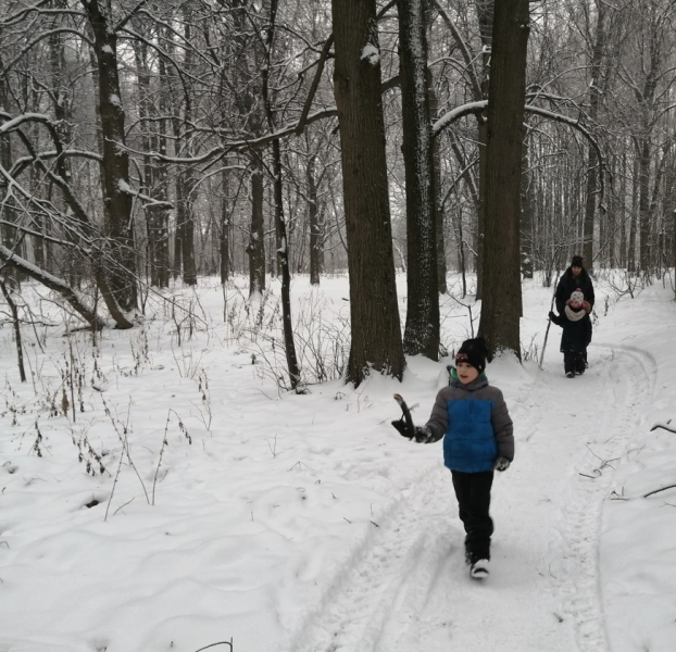 «Тропа знакомства с лесом» появилась в парке «Битцевский лес»