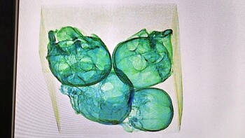 Четыре черепа нашли в мексиканском аэропорту