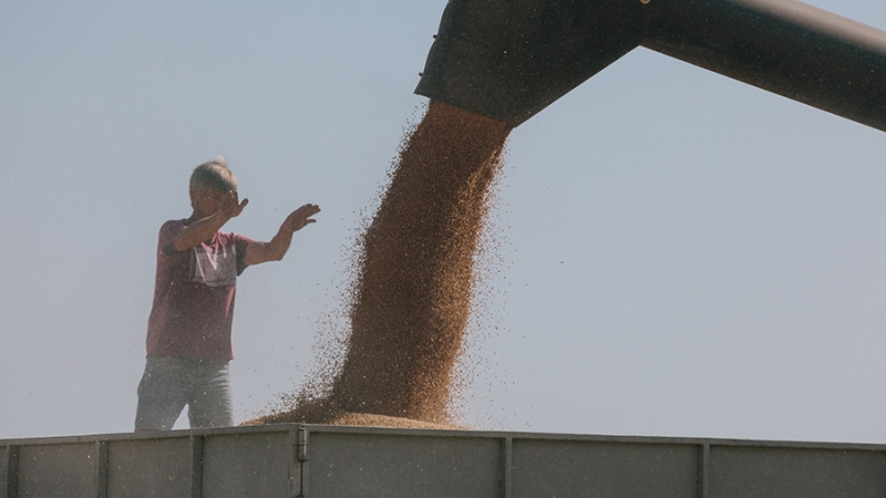 Депутат ГД объяснил ошибку ЕС из-за либерализации торговли с Украиной