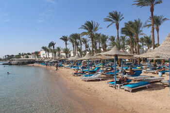 Названы самые популярные новогодние турнаправления 