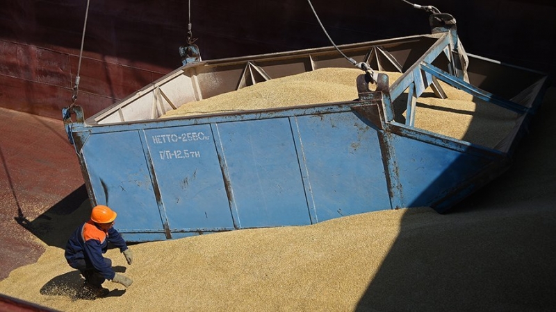 Путин потребовал не допустить вывоза за границу всего урожая