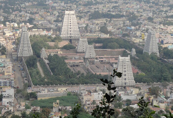 В Индии арестовали туриста из России