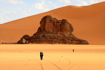 Алжир планирует увеличить число рейсов в Москву