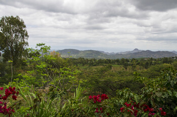 Эфиопия временно приостановила выдачу туристических виз в Москве