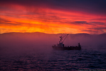 Круизные теплоходы запустят из Перми в Териберку и города на Оке 