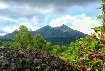 На Бали ограничат доступ к известной достопримечательности