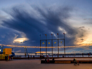 Сады и парки Петербурга закрылись из-за шторма