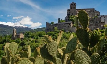 Швейцарские Альпы зарастают кактусами 