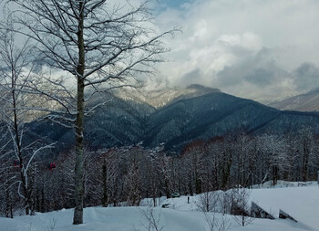 Сочинский национальный парк закрылся из-за непогоды