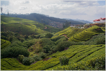Вернувшаяся со Шри-Ланки в РФ туристка заразилась лихорадкой денге