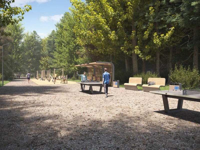 Видновский лесопарк благоустроят в 2023 году