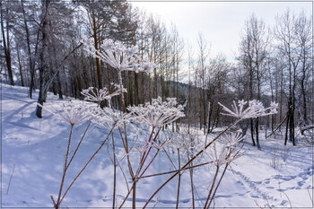 Землетрясение произошло в Иркутской области