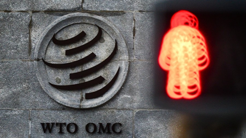 Эксперт объяснил решение России не выходить из ВТО