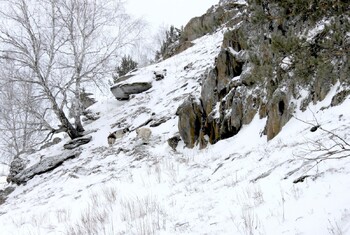 Группу из 10 туристов спасли из снежного плена в Башкирии