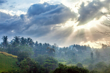 Индонезия передумала отменять визы по прибытии для россиян