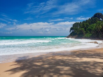 На Пхукете будут депортировать туристов за плохое поведение